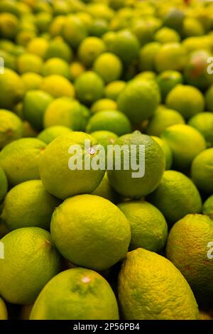 Ein großer Haufen Limettenfrüchte in einem Laden Stockfoto