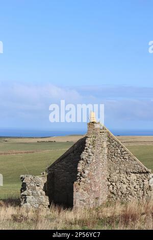 Verlassener Stockfoto