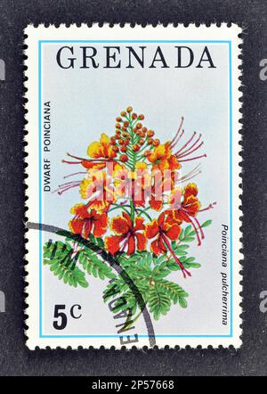 stornierte Briefmarke, gedruckt von Grenada, die die Blume des Zwergs Poinciana zeigt, ca. 1978. Stockfoto