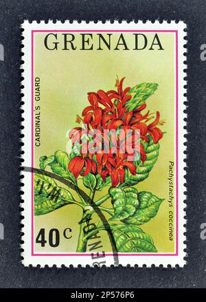 abgesagte Briefmarke von Grenada, die die Wachblume der Kardinäle zeigt, circa 1970er. Stockfoto