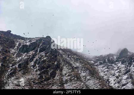 Gangtok, Sikkim, Indien. 28. Februar 2023. Ein gefrorener Gletschersee, umgeben von majestätischen Gipfeln und frischer, kalter Luft, bedeckt von azurblauem Himmel - Changu Lake ist einer der seltenen Orte, die die Platitude würdigen. Dieses glitzernde, smaragdblaue Gewässer, gespeist vom schmelzenden Schnee der umliegenden Berge, befindet sich auf einer Höhe von 12.400 Fuß an der Gangtok-Nathula Road. Auch bekannt als Tsomgo-See, übersetzt in ''˜Quelle des Wassers. (Kreditbild: © Zakir Hossain/Pacific Press via ZUMA Press Wire) NUR REDAKTIONELLE VERWENDUNG! Nicht für den kommerziellen GEBRAUCH! Stockfoto