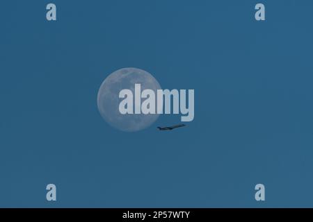 Ein Passagierjet, der am fast Vollmond vorbeifliegt, in einem klaren, blauen Himmel am Tag. Stockfoto