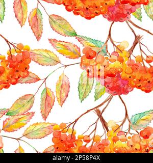 Aquarellrowan ashberry Leaf Ast nahtloses Muster. Stockfoto