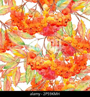 Aquarellrowan ashberry Leaf Ast nahtloses Muster. Stockfoto