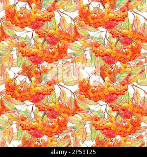 Aquarellrowan ashberry Leaf Ast nahtloses Muster. Stockfoto