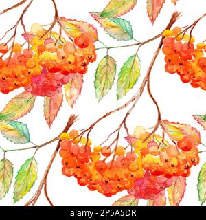 Aquarellrowan ashberry Leaf Ast nahtloses Muster. Stockfoto