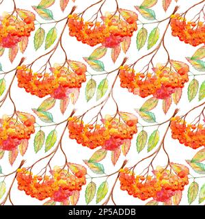Aquarellrowan ashberry Leaf Ast nahtloses Muster. Stockfoto