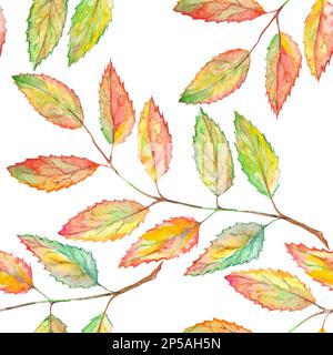 Aquarell aschebeerblatt mit botanischem Nahtmuster. Stockfoto