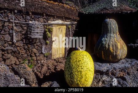 Guinea, El Golfo-Tal, El Hierro, Kanarische Inseln, Spanien, Europa Stockfoto