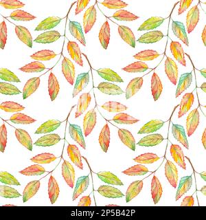 Aquarell aschebeerblatt mit botanischem Nahtmuster. Stockfoto