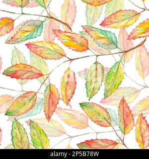 Aquarell aschebeerblatt mit botanischem Nahtmuster. Stockfoto