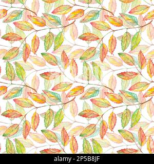 Aquarell aschebeerblatt mit botanischem Nahtmuster. Stockfoto