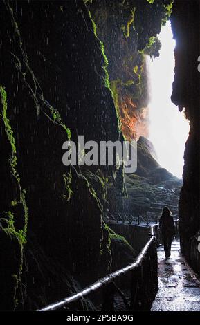 Provinz Zaragoza, Aragon, Spanien: Nuevalos, Naturpark Monasterio de Piedra. Der Wasserfall „Cola de Caballo“, von der Höhle aus gesehen, die sich darin befindet Stockfoto