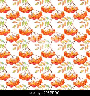 Aquarellrowan ashberry Leaf Ast nahtloses Muster. Stockfoto
