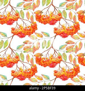 Aquarellrowan ashberry Leaf Ast nahtloses Muster. Stockfoto