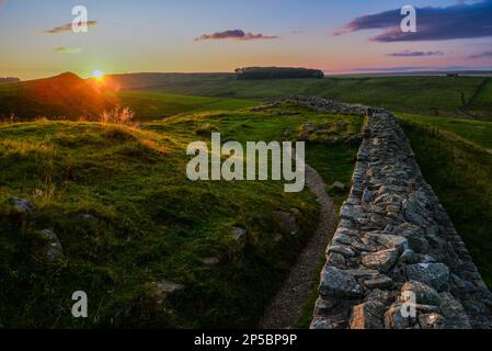 Sunset, The Roman Wall oder Hadrian's Wall in der Nähe von Milecastle 39 in Northumberland, England Stockfoto