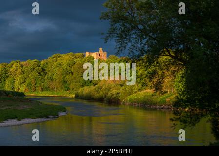 Norham Castle, Northumberland, England Stockfoto
