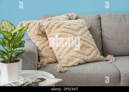 Graues gemütliches Sofa mit Kissen und Zimmerpflanzen auf dem Tisch Stockfoto