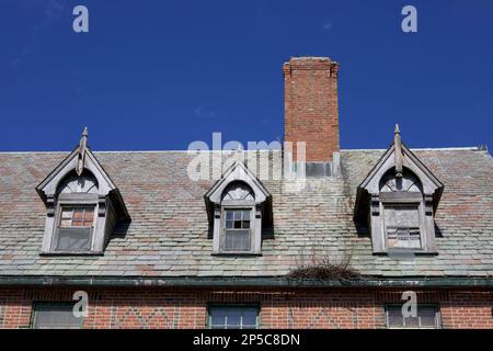 Dachterrasse mit Kamin, Studentenfenstern und Vögel nisten in der Gosse. Altes Gebäude im Seaside State Park in Waterford, Connecticut, USA. Stockfoto