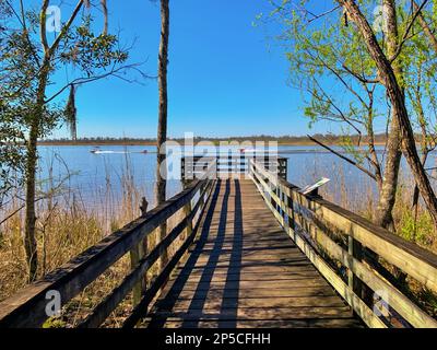 Am Ufer des Blakeley State Park Stockfoto