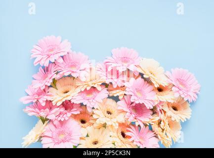 Strauß rosa-gelber Gerberas auf hellblauem Hintergrund. Muttertag, Valentinstag, Geburtstagskonzept. Draufsicht, Platz für Text kopieren Stockfoto