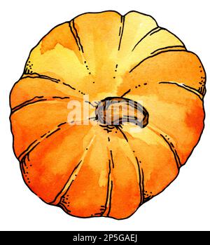 Aquarell handgezeichneter Kürbis, Skizzenabbildung, isoliert auf weißem Hintergrund Stockfoto