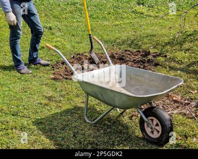 Neuer Metallgarten Trolley in einem botanischen Garten. Gartenarbeiten, im Teil des Blumengartens Stockfoto