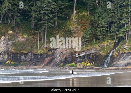 Im Oswald West State Park betritt ein Surfer mit seinem Brett und einem Wasserfall im Hintergrund das Wasser Stockfoto