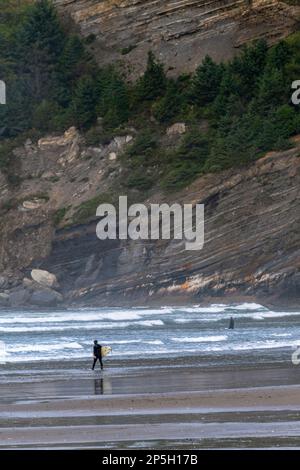 Im Oswald West State Park betritt ein paar Surfer mit seinem Brett das Wasser Stockfoto