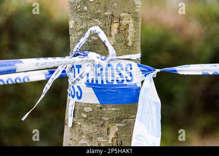 London, Großbritannien. 06. März 2023. Polizeibänder, die an einen Baum um den Tatort gefesselt sind. Kredit: SOPA Images Limited/Alamy Live News Stockfoto