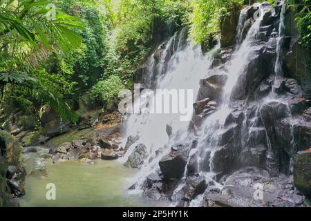 Idyllische Aufnahme des Kanto Lampo Wasserfalls in Ubud auf Bali, der schwarze Felsen hinunterfließt und in einen Pool fließt, der von Regenwald umgeben ist. Stockfoto