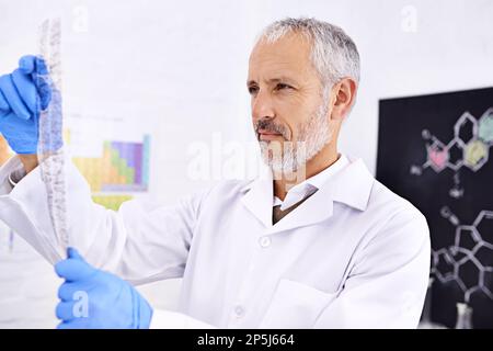 Das Gebiet der Genetik. Ein männlicher Wissenschaftler, der sich die Ergebnisse eines DNA-Tests ansieht. Stockfoto