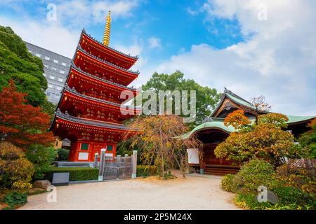 Fukuoka, Japan - Nov. 20 2022: Tochoji-Tempel im Stadtteil Hakata. Erbaut von Kobo Daishi am Meer, an den heutigen Ort von Kuroda Taday verlegt Stockfoto
