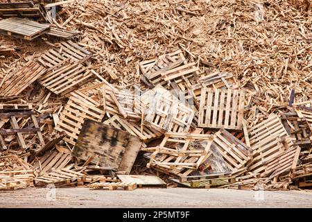 Großer Stapel Holzpaletten (Gleiter) entsorgt Stockfoto