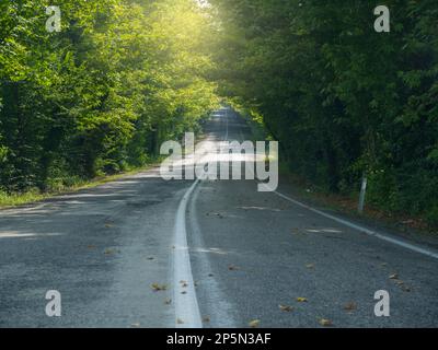 Alte Asphaltstraße, Anfang Herbst. Eine kaputte Straße durch die Bäume Stockfoto