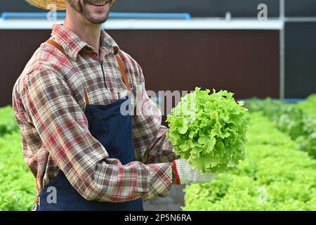 Die Landwirte halten im Gewächshaus frischen organischen Salat. Geschäftskonzept gesunde Ernährung und Landwirtschaft Stockfoto