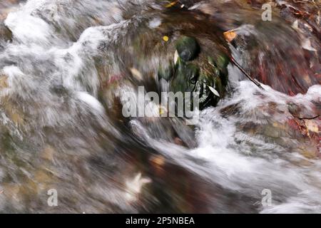 Nahaufnahme eines wunderschönen Wasserstroms, der einen schmalen Pfad hinunterfließt Stockfoto
