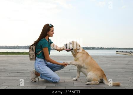 Süßer goldener Retriever-Hund, der der jungen Frau am Pier eine Pfote gibt Stockfoto