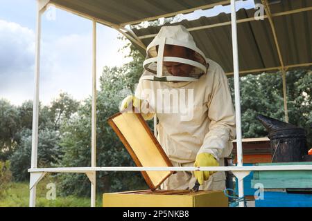 Imker kratzen Wachs aus dem Honigrahmen in der Bienenstelle Stockfoto