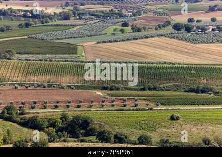 Ackerland und Olivenhaine um Montemassi in der Provinz Grosseto. Italien Stockfoto