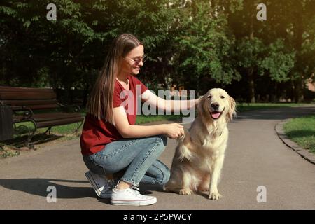 Süßer goldener Retriever-Hund, der einer jungen Frau im Park die Pfote gibt Stockfoto