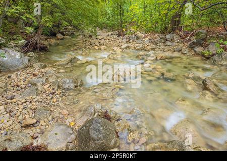 Am Rand eines schnell fließenden Flusses entlang der Zufahrtsstraße von Starigrad Paklenica in den Nationalpark Stockfoto