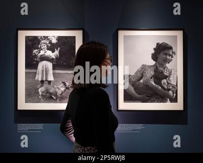 The Wallace Collection, London, Großbritannien. 7. März 2023 Großbritanniens dienstälteste Monarch, Königin Elizabeth II., ist für ihre enge Verbindung mit Pembroke Welsh Corgis bekannt, die während ihrer 70-jährigen Herrschaft über dreißig der Hunde besaß. Eine besondere Ausstellung in einem Raum in der Wallace Collection – The Queen and her Corgis (8. März bis 25. Juni 2023) – feiert durch Fotografien, auf denen jedes Jahrzehnt ihres Lebens durch ein einzelnes Bild gekennzeichnet ist, das Ihre Majestät und ihre Liebe zur Rasse festhält. Bild: (Links) Prinzessin Elizabeth (später Königin Elizabeth II.) mit zwei Corgis zu Hause bei 145 Picc Stockfoto