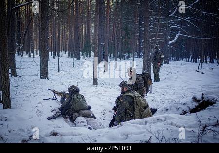 Paprade, Litauen. 07. März 2023. Bundeswehrsoldaten nehmen an der Griffin-Blitzübung auf dem Ausbildungsgelände Paprade Teil, an der das deutsche Kämpfer-Bataillon 413 verstärkte Wachsamkeit-Aktivitäten-Brigade während eines Besuchs des deutschen Verteidigungsministers teilnimmt. Kredit: Kay Nietfeld/dpa/Alamy Live News Stockfoto