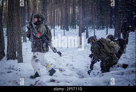 Paprade, Litauen. 07. März 2023. Bundeswehrsoldaten nehmen an der Griffin-Blitzübung auf dem Ausbildungsgelände Paprade Teil, an der das deutsche Kämpfer-Bataillon 413 verstärkte Wachsamkeit-Aktivitäten-Brigade während eines Besuchs des deutschen Verteidigungsministers teilnimmt. Kredit: Kay Nietfeld/dpa/Alamy Live News Stockfoto