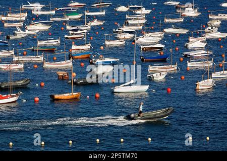 Calella de Palafrugell. Hafen von Calau. Costa Brava. Provinz Girona. Katalonien. Spanien Stockfoto