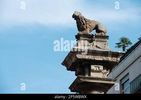 Italien, Lombardei, Mailand, Piazza San Babila, Colonna del Leone, Löwe Colomun Stockfoto