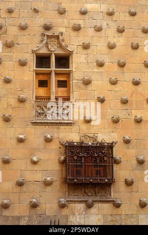 Detail, Casa de Las Conchas, Haus der Muscheln, Salamanca, Spanien Stockfoto