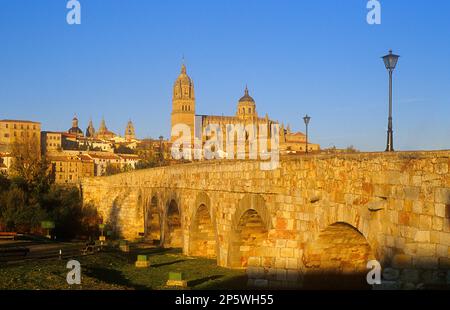 Kathedrale und historisches Zentrum, über die römische Brücke über den Fluss Tormes hinaus, Salamanca, Spanien Stockfoto