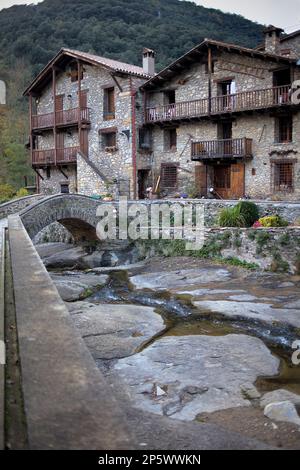 Zeugen Sie, Garrotxa, Girona, Katalonien, Spanien Stockfoto